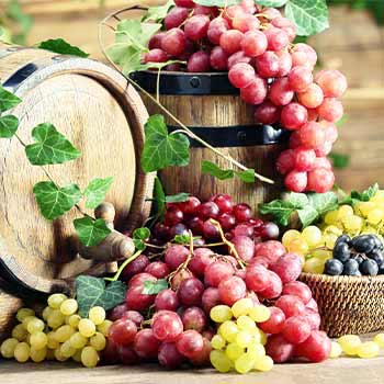 Vinsko grožđe