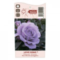 Ruže floribunda Love Song®, C5 slika 5 interface.art 5545