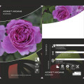 Ruže floribunda Adore Aroma®, С3 slika 3 interface.art 2065