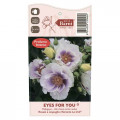 Ruže floribunda Eyes for You®, C5 slika 5 interface.art 5507