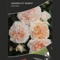 Ruže floribunda Garden of Roses ®, C5 slika 2 interface.art 5822
