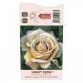 Ruže floribunda Honey Dijon®, C5 slika 3 interface.art 6144