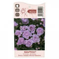 Ruže floribunda Nautica®, C5 slika 4 interface.art 6150
