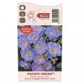Ruže floribunda Pacific Dream®, C5 slika 5 interface.art 6148
