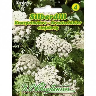 Ammi majus slika 4