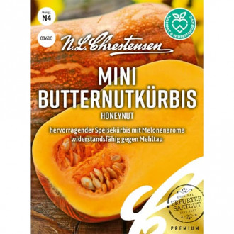 Bundeva Honeynut slika 1