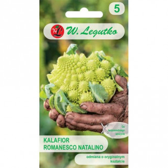 Cvjetača Romanesco slika 1