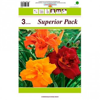 Dnevni ljiljan (Hemerocallis) Double mix multicolor slika 6