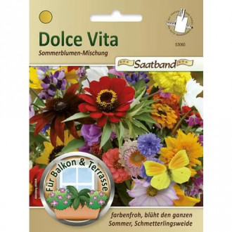 Dolce Vita ljetno cvijeće, mix multicolor slika 3