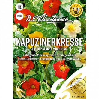 Dragoljub Tip Top Alaska, mix multicolor slika 3