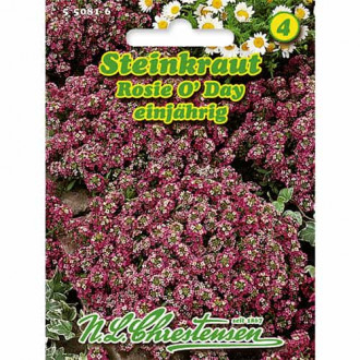 Grobeljnik (Alyssum) Rosie O'Day slika 3