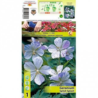 Iglica (Geranium) Splish Splash slika 6