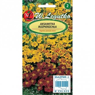 Kadifa Bonanza series, mix multicolor slika 4