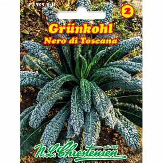 Kelj Nero di Toscana gradinamax.hr Kelj Nero di Toscana