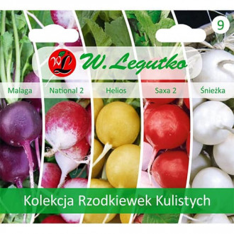Kolekcija raznobojnih rotkvica, pakiranje od 5 sorti slika 3