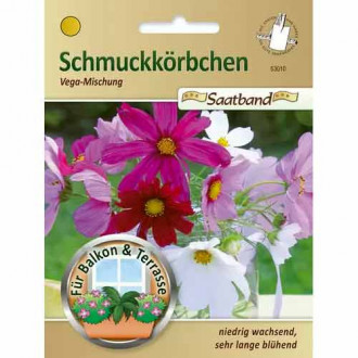 Kozmeja Vega, mix multicolor