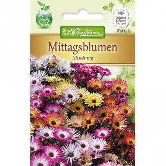 Kristalno cveće (delosperma), mix multicolor slika 6