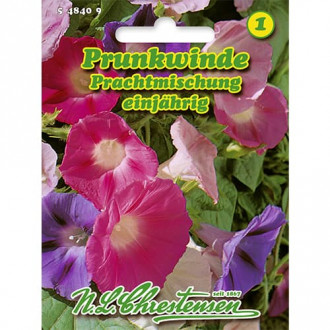 Ladolež Splendid, mix multicolor slika 5