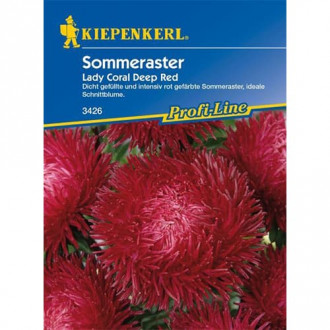 Lijepa kata,Lady Coral Deep Red slika 6