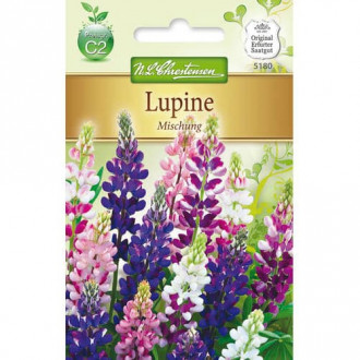 Lupin, mix multicolor slika 3