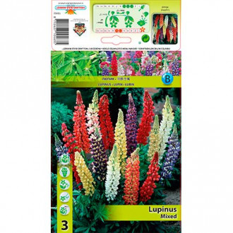 Lupine mix multicolor slika 4