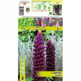 Lupine Purple slika 4