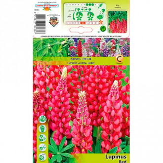 Lupine Red slika 5