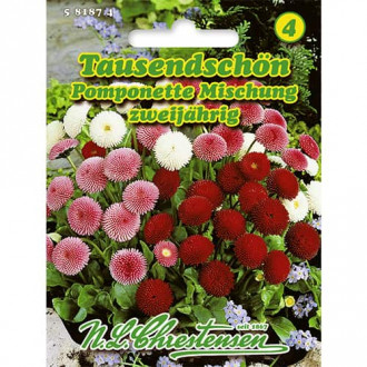 Marjetica pomponette, mix multicolor slika 1