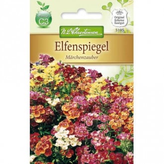 Nemesia gušavost, mix multicolor slika 2