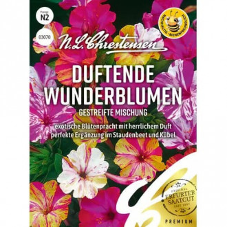 Noćna dama, Flower Wonder, mix multicolor slika 3