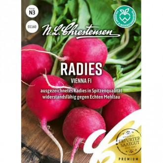 Rotkvica Vienna F1 Chrestensen slika 18