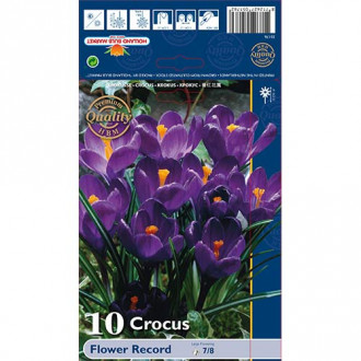 Šafran Flower Record slika 2
