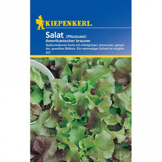 Salata Amerikanischer Brauner Kiepenkerl slika 5