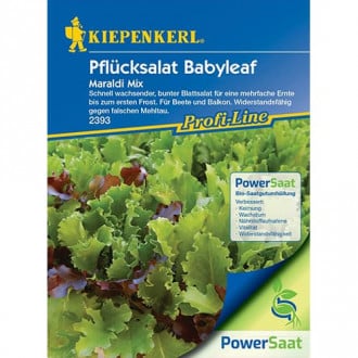 Salata Babyleaf Maraldi, mješavina sorti slika 2