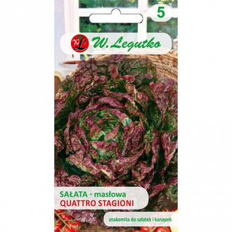 Salata Quattro Stagioni slika 6