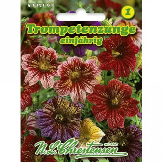Salpiglossis sinuata, Superbissima, mix multicolor slika 3