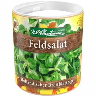 Set za sjetvu Matovilac salata Hollandischer Breit Blattriger slika 6