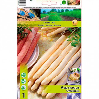 Šparoge (Asparagus) slika 1