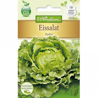 Stylist iceberg salata slika 2