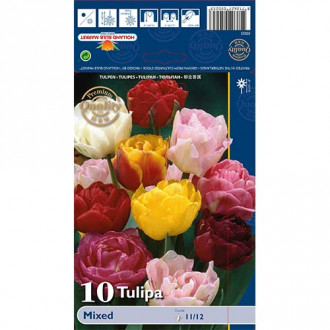 Tulipan Double Late Mixed slika 2