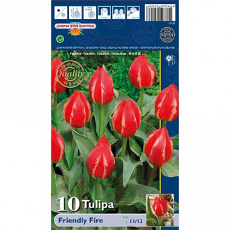 Tulipan Friendly Fire slika 5