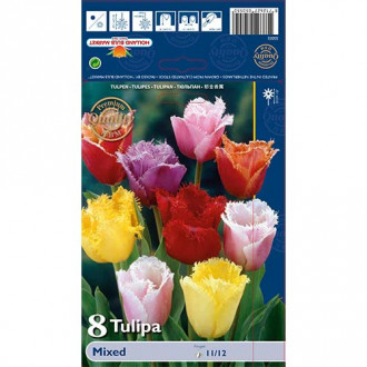 Tulipan Fringed Mixed slika 2