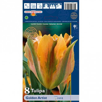 Tulipan Golden Artist slika 1