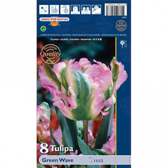 Tulipan Green Wave slika 6