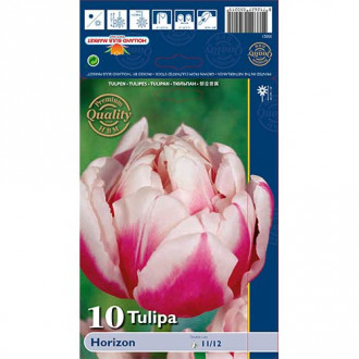 Tulipan Horizon slika 3