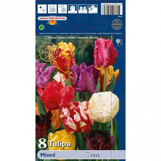 Tulipan Parrot Mixed slika 5