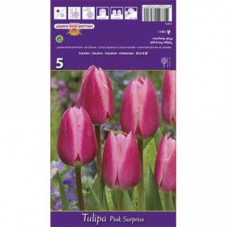 Tulipan Pink Surprise slika 5