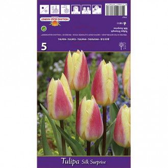 Tulipan Silk Surprise slika 1