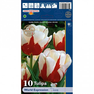 Tulipan World Expression slika 4