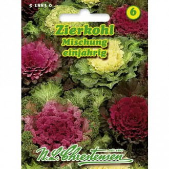 Ukrasni kupus, mix multicolor slika 3